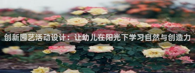 女人说xc红是什么意思：创新园艺活动设计：让幼儿在阳光下学习自然与创造力