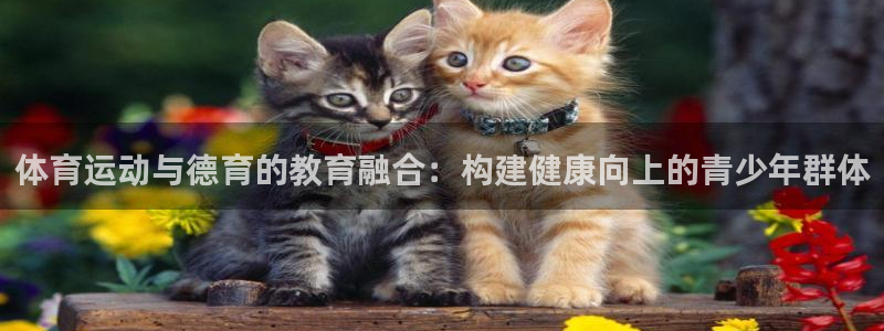 xc 60：体育运动与德育的教育融合：构建健康向上的青少年群体