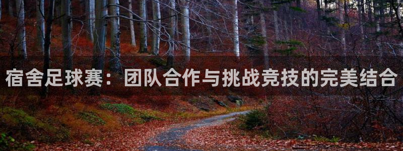 xc业务是什么意思：宿舍足球赛：团队合作与挑战竞技的完美结合