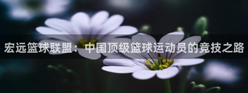杏彩xc2登录地址：宏远篮球联盟：中国顶级篮球运动员的竞技之路