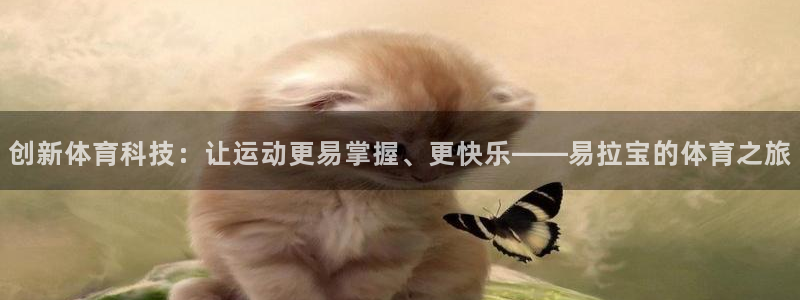 杏彩xc体育平台开号链接：创新体育科技：让运动更易掌握、更快乐——易拉宝的体育之