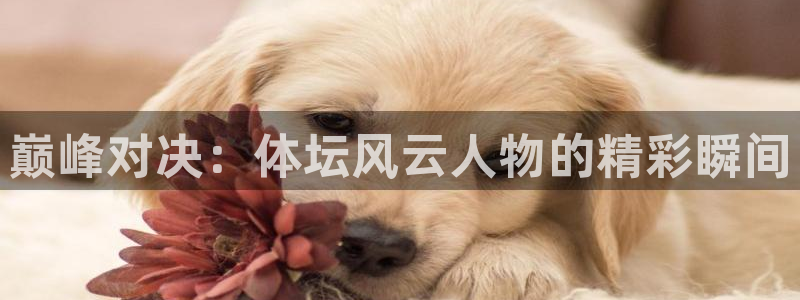 xc60全款：巅峰对决：体坛风云人物的精彩瞬间