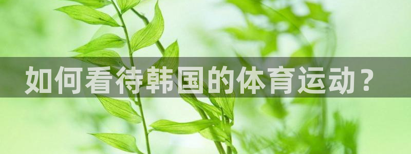 杏彩登陆：如何看待韩国的体育运动？