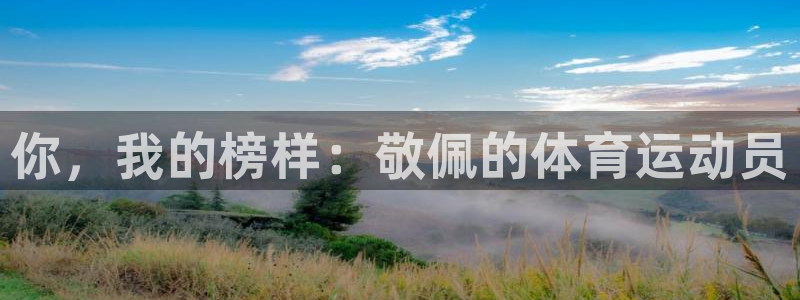 杏彩xc登录：你，我的榜样：敬佩的体育运动员