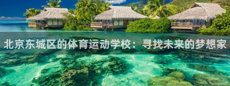 杏彩xc2官网：北京东城区的体育运动学校：寻找未来的梦想家