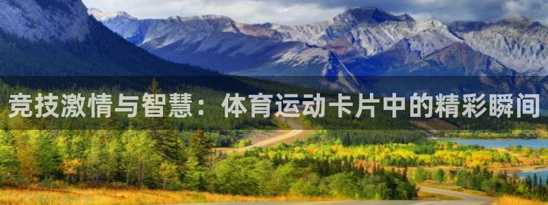 杏彩xc能源：竞技激情与智慧：体育运动卡片中的精彩瞬间
