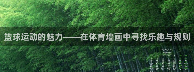 xc是什么：篮球运动的魅力——在体育墙画中寻找乐趣与规则