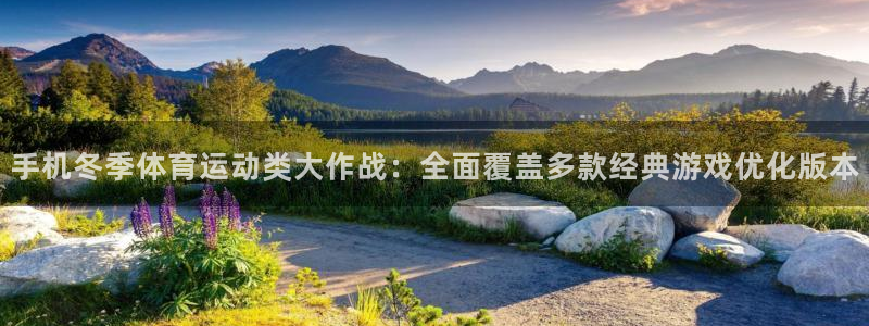 杏彩xc股份：手机冬季体育运动类大作战：全面覆盖多款经典游戏优化版本