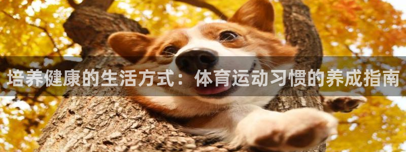 杏彩：培养健康的生活方式：体育运动习惯的养成指南