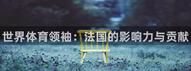 新沃尔沃xc90质量如何：世界体育领袖：法国的影响力与贡献