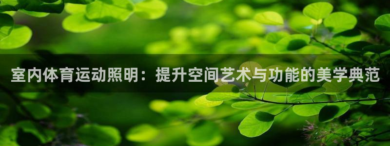杏彩xc零能源集团：室内体育运动照明：提升空间艺术与功能的美学典范