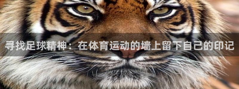 xc7：寻找足球精神：在体育运动的墙上留下自己的印记