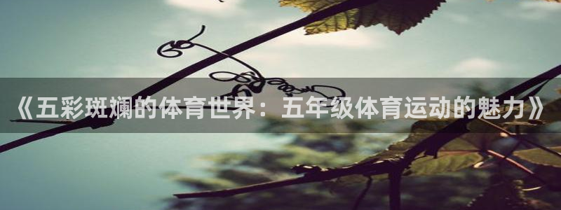 xc什么意思：《五彩斑斓的体育世界：五年级体育运动的魅力》