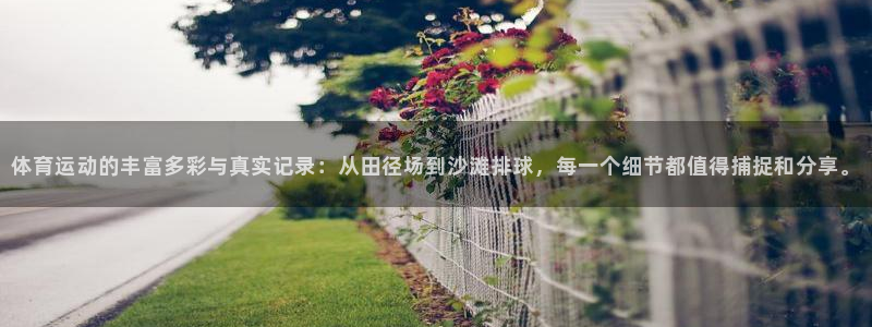 xc是女人哪个部位：体育运动的丰富多彩与真实记录：从田径场到沙滩排球，每一个细节