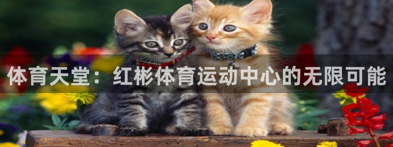 杏彩账号注册：体育天堂：红彬体育运动中心的无限可能