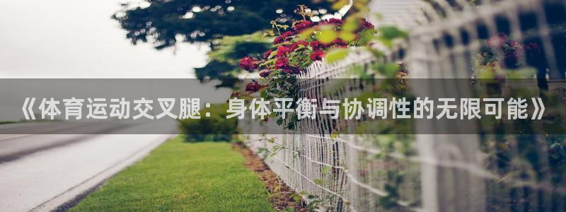 女人的xc是什么意思：《体育运动交叉腿：身体平衡与协调性的无限可能》