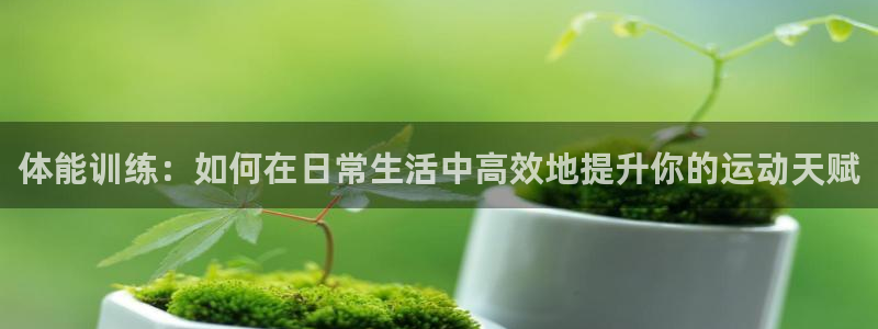 .xc60：体能训练：如何在日常生活中高效地提升你的运动天赋