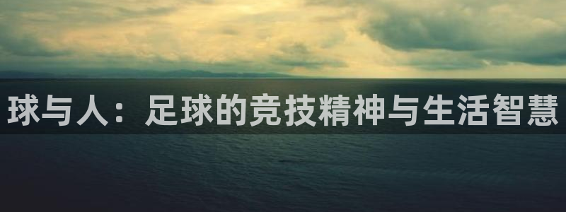 xc车是什么意思：球与人：足球的竞技精神与生活智慧